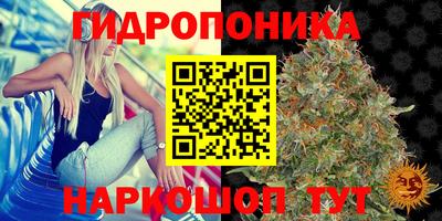 mdpv Партизанск