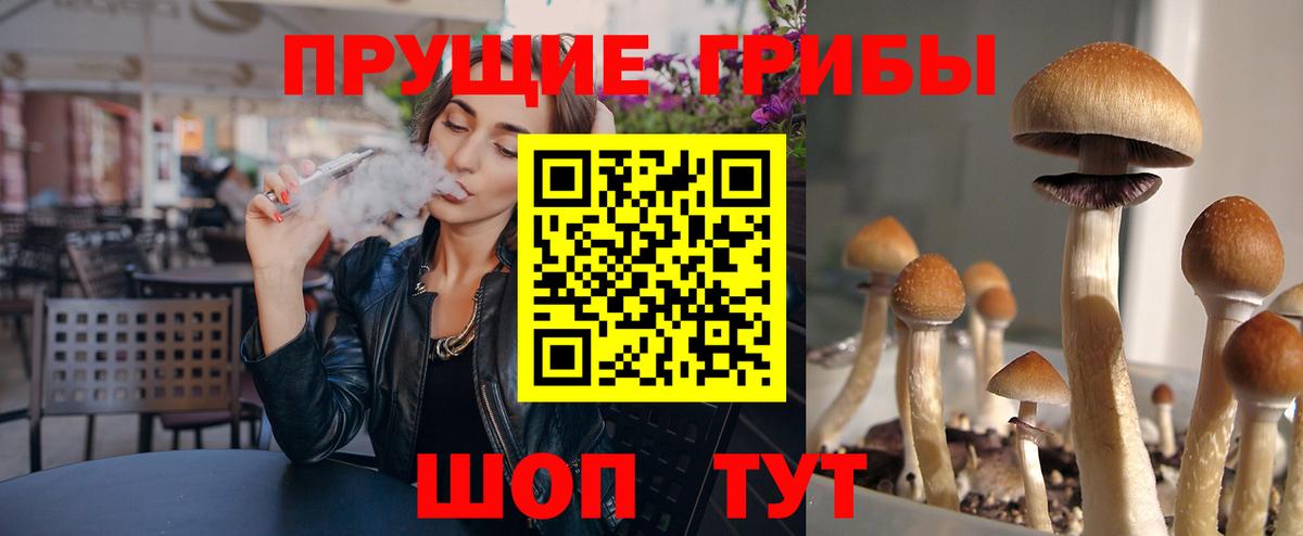 Галлюциногенные грибы Magic Shrooms  Галлюциногенные грибы Magic Shrooms  даркнет сайт  Вход с VPN  Партизанск 
